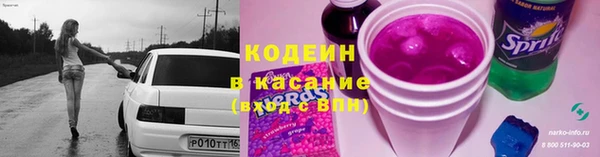 сатива Заводоуковск